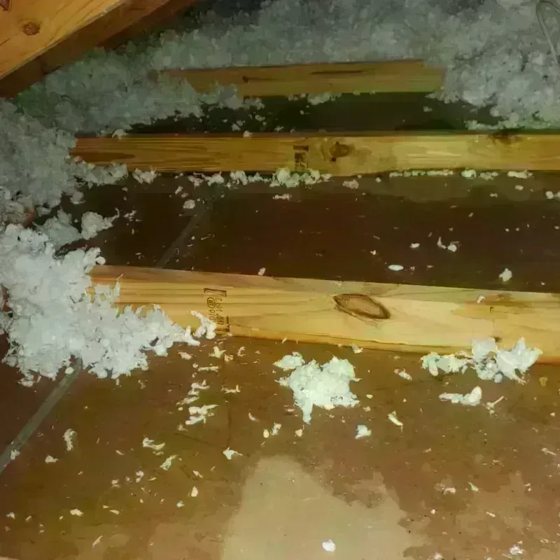 Attic Water Damage in Langdon, ND