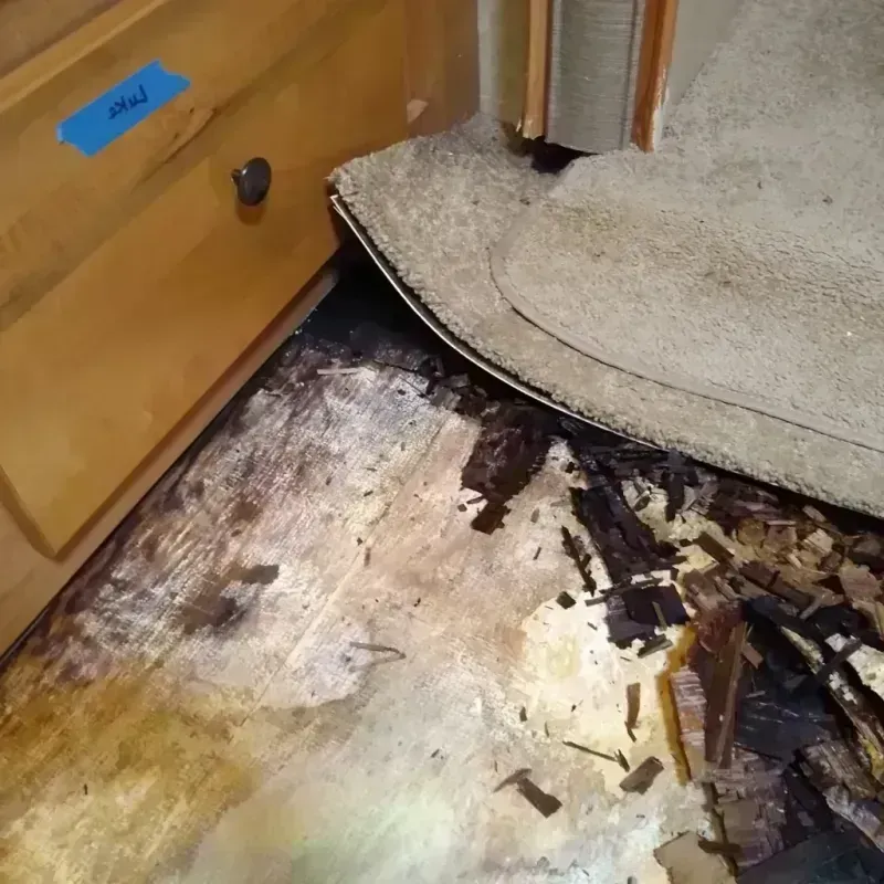 Wood Floor Water Damage in Langdon, ND